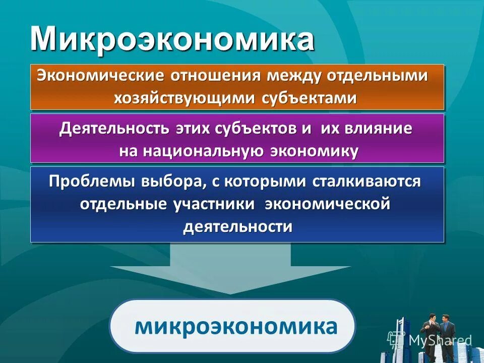хозяйственная деятельность в национальной экономике