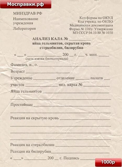 Описание и фото аскарид и их яиц в кале у человека