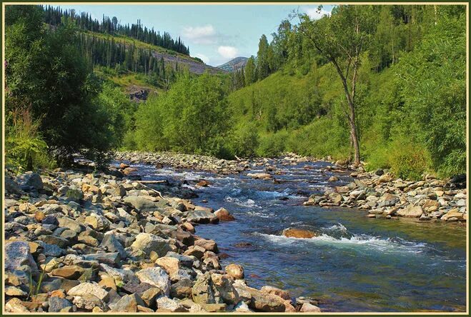 дельта реки архангельск. какие есть названия рек. из перечисленных рек. дождевой средиземноморский тип питания рек. река великая ненецкий автономный округ.