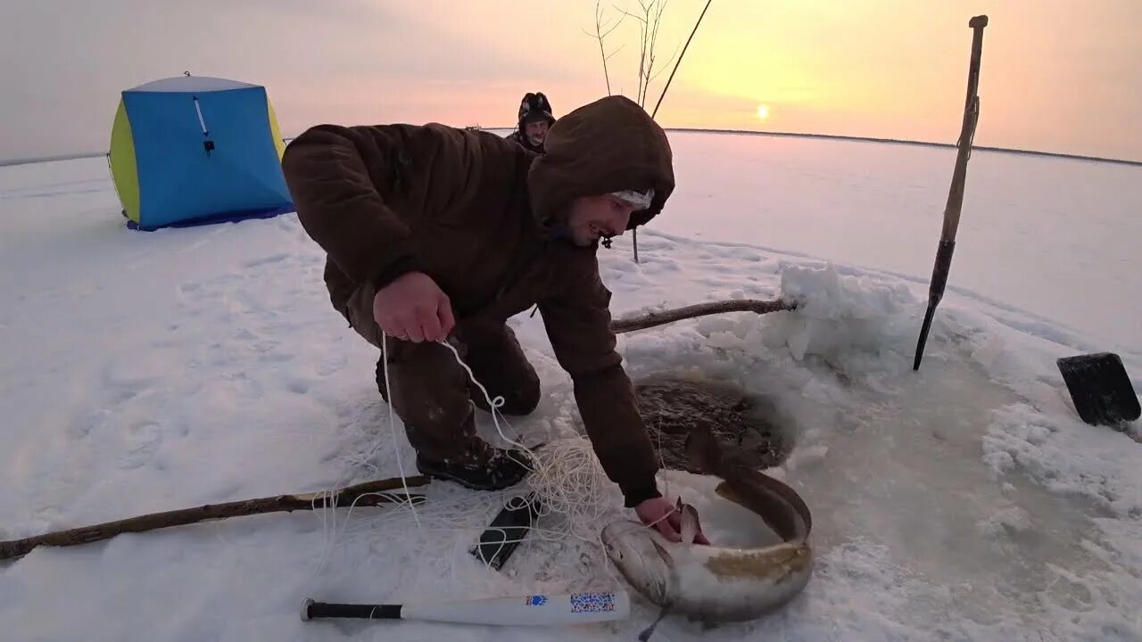 Перемет под лед. Перемет на налима. перемет рыболовный. ловля налима на перемет. снасть на налима.