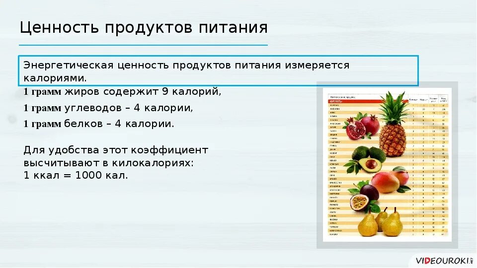 Энергетическая ценность пищевых продуктов. Энергетическая ценность пищевых продуктов определяется. Вычисление энергетической ценности продуктов питания. Энергетическая и пищевая ценность пищи. Огэ биология калории