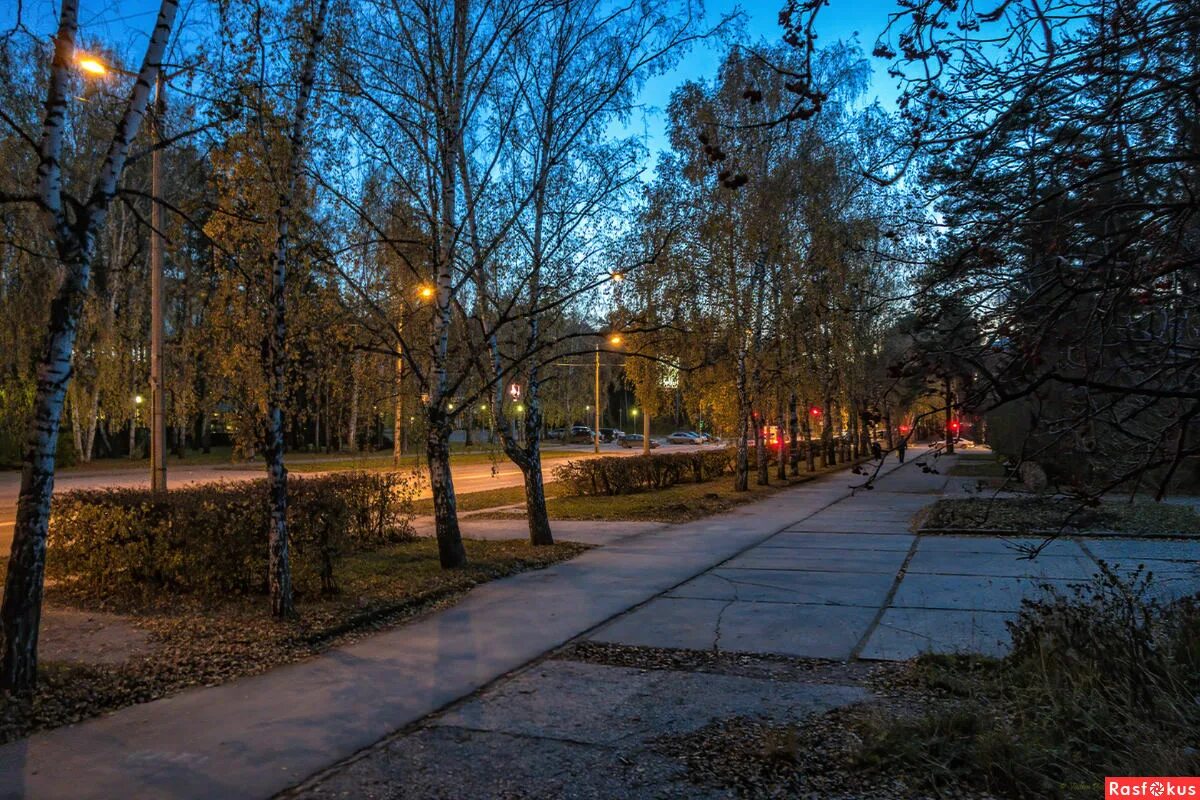 академгородок морской проспект зима. университетский проспект академгородок новосибирск. академгородок новосибирск золотодолинская улица. академгородок новосибирск осенью. новосибирск академгородок морской проспект летом.