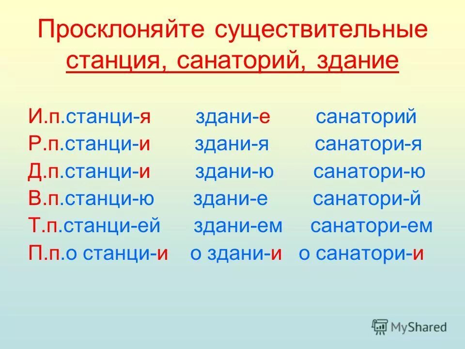 Гербарий склонение. В здании какой падеж. Директор склонение. Таблица падежей имен существительных с вопросами и предлогами. Как определить падеж.