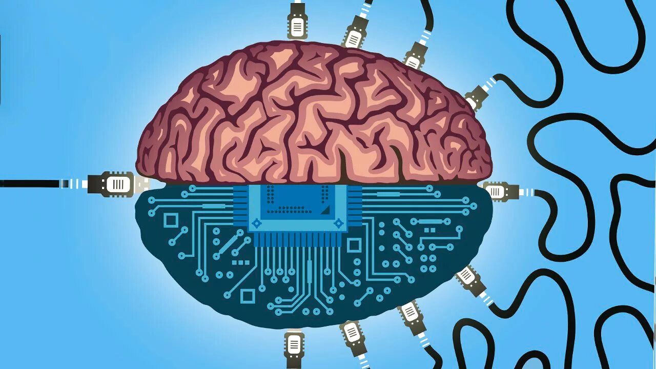 Человеческий мозг и компьютер. Запрограммированный мозг. Мозг человека компьютер. Изображение мозга.