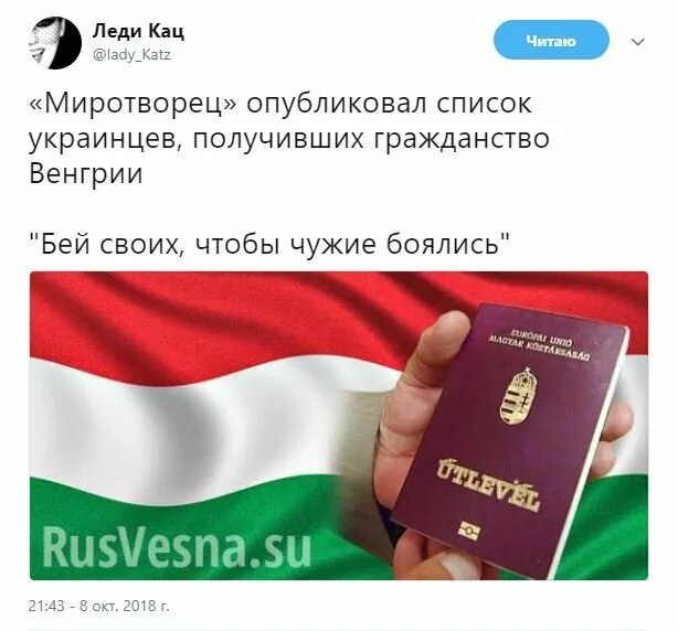 Получить гражданство в венгрии для россиян. Загранпаспорт венгрии. Оформить гражданство венгрии. Паспорт гражданина венгрии. Венгерский загранпаспорт.