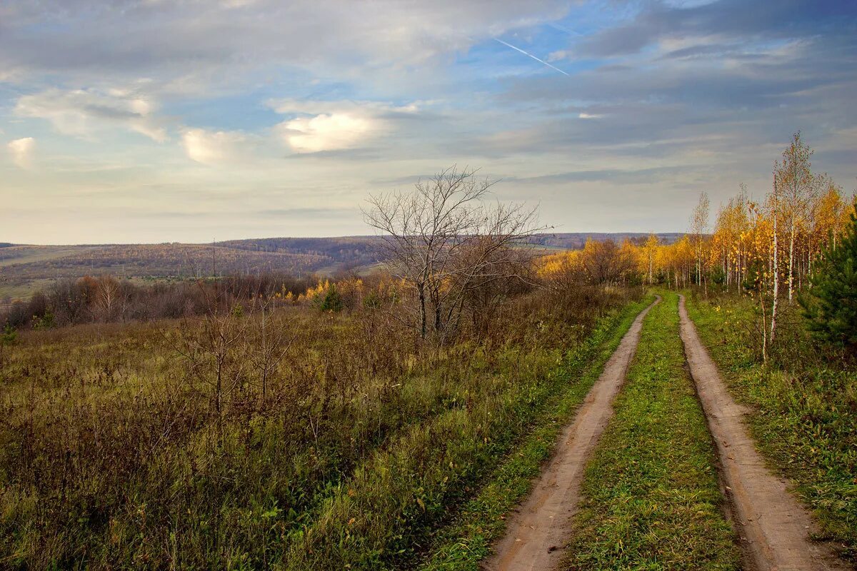 Поселковая дорога. Деревня природа Проселочная дорога. Сельская дорога. Дорога в деревне. Дорога на природе в деревне.