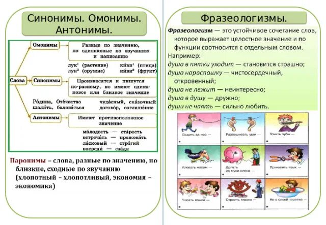 Фразеологизмы с омонимами антонимами. Синонимы омонимы фразеологизмы. Синонимы антонимы омонимы фразеологизмы. Фразеологизмы антонимы. Слова фразеологизмы антонимы