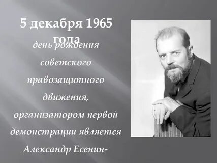 Организатор движения