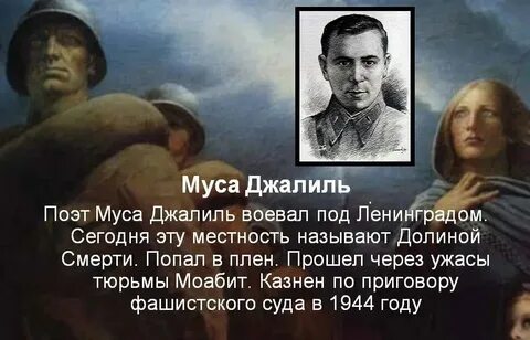 Муса джалиль стих ромашка