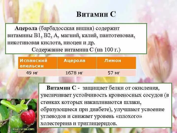 Вишня содержит 89 влаги. Вишня содержит 89 влаги