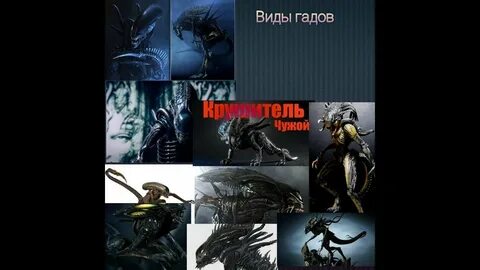Виды чужого текста