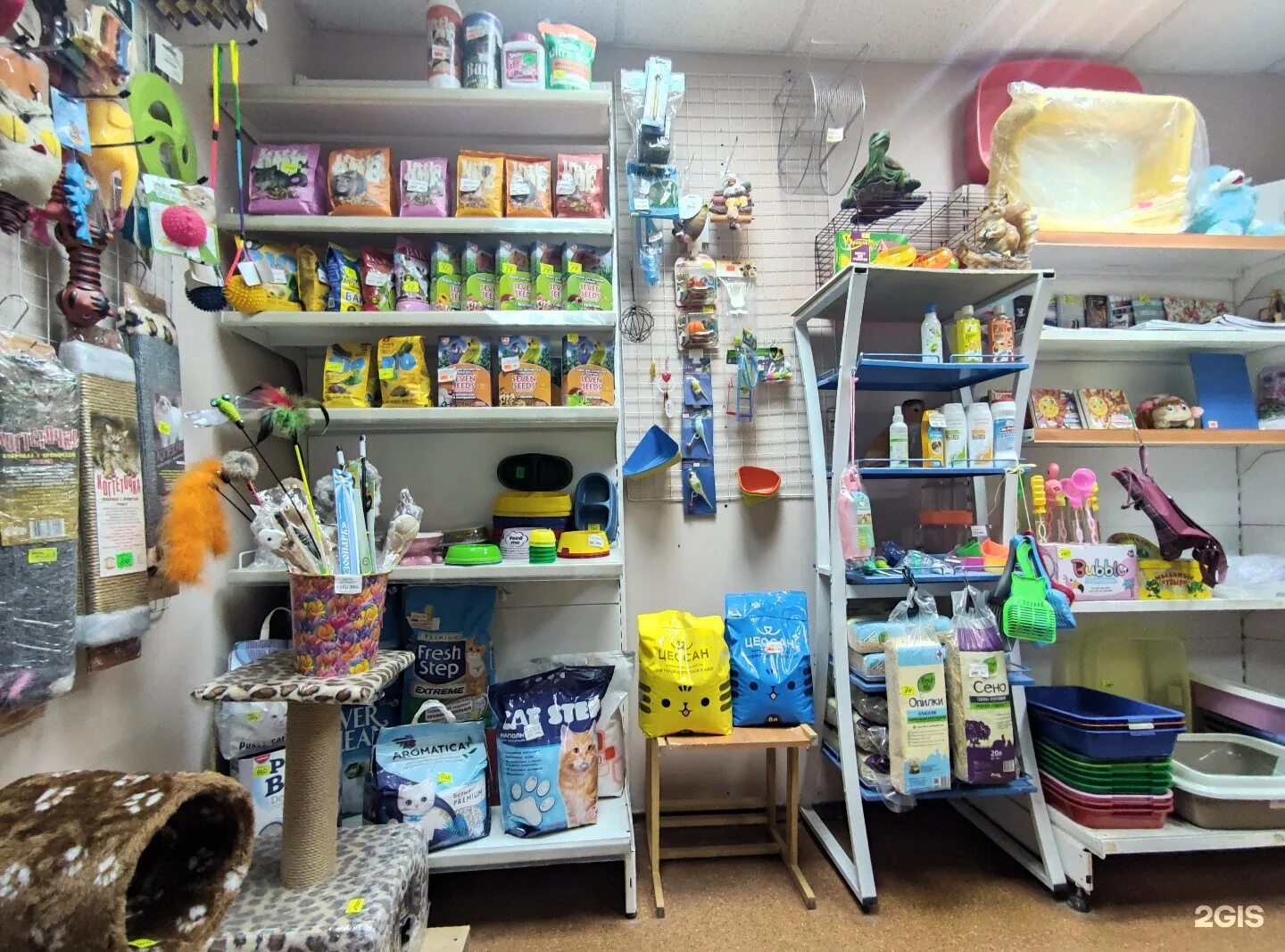 Магазин полная миска тула. Зоомагазин 4 лапы. Улица ложевая 125 тула. Зоомагазин тула адреса. Зоомагазин на тульской калуга.