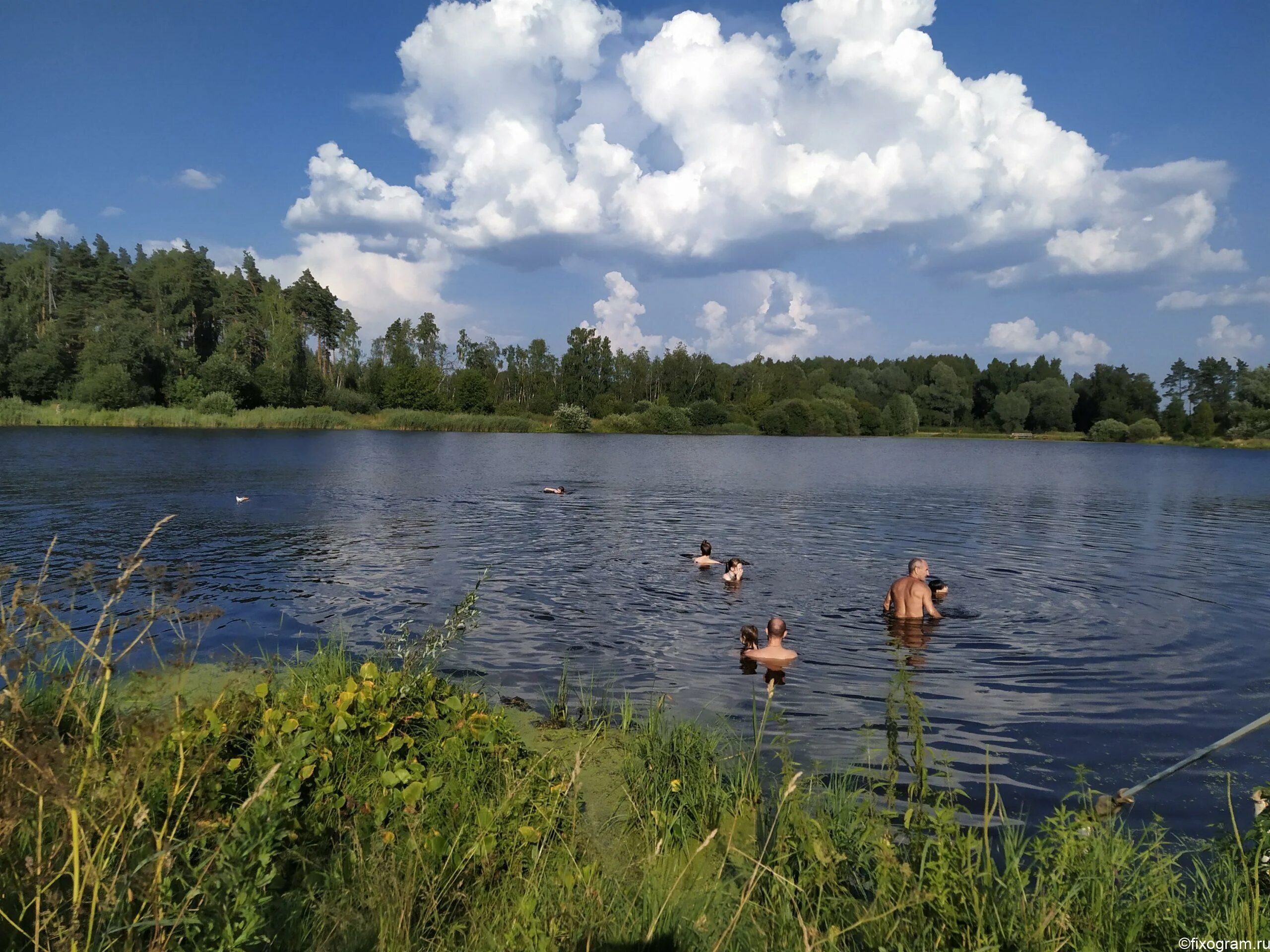 Озера области для купания. Озеро Плиса Витебской области. Купание в озере. Купаться в озере. Аборино озеро купаться.