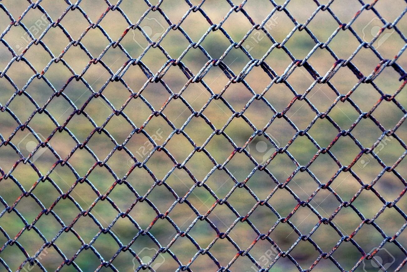 Сетчатый забор раст. Сетчатая дверь раст. Проржавевший забор рабица. Металлическая решетка png. Сетчатый забор раст.