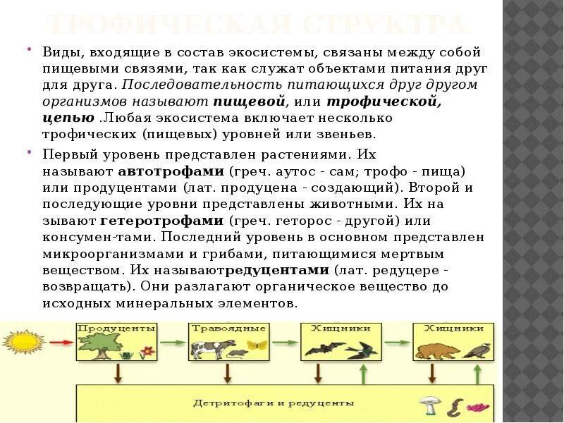 Как были связаны между собой успехи
