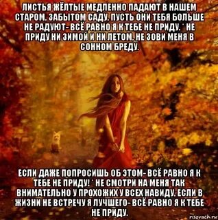 Текст песен желтая листва