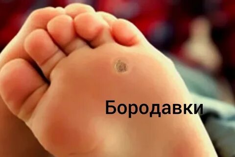 Сам появляться
