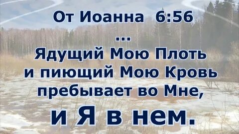 Закон духа жизни