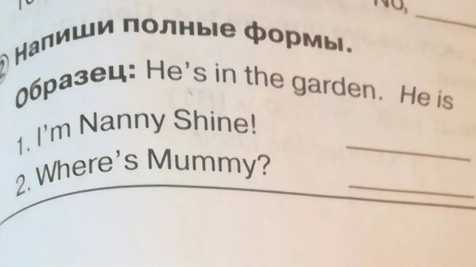 Напишите полную форму образец. Написать полную форму. Напиши полные формы. Напиши полную форму образец. Английский язык напиши полную форму.