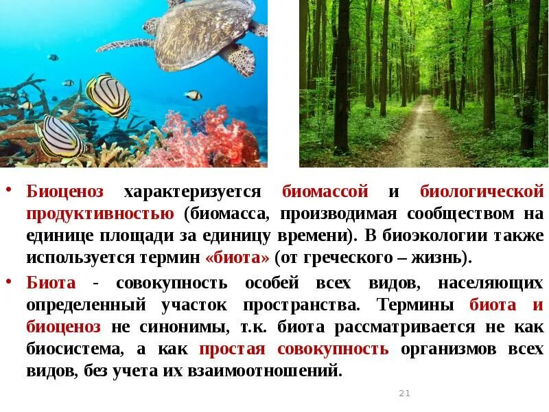 Разнообразие и биомасса. Продуктивность биоценоза. биомасса биоценоза. продуктивность и биомасса биоценозов.. биоценоз характеризуется.