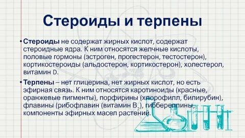 Стероиды относятся к липидам