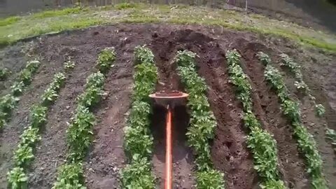 Быстрая посадка