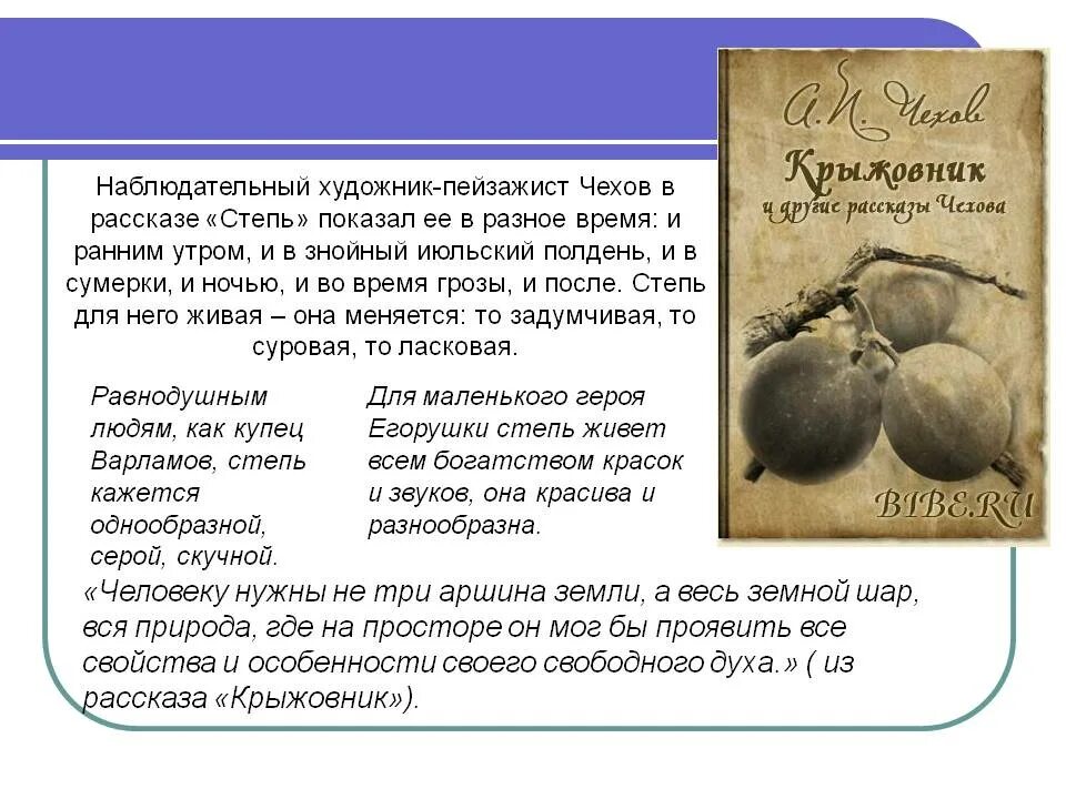 Пейзаж в рассказе крыжовник Чехова. Пейзаж в рассказе крыжовник. Произведение Чехова степь. Чехов описание степи.