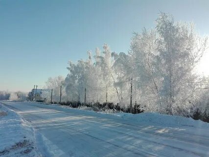 Погода новосибирская алексеевка