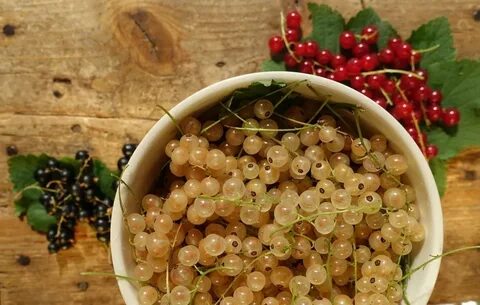Красная и белая смородина
