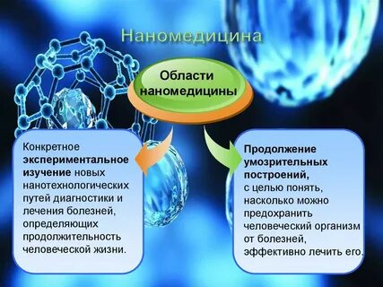 Нанобиология это
