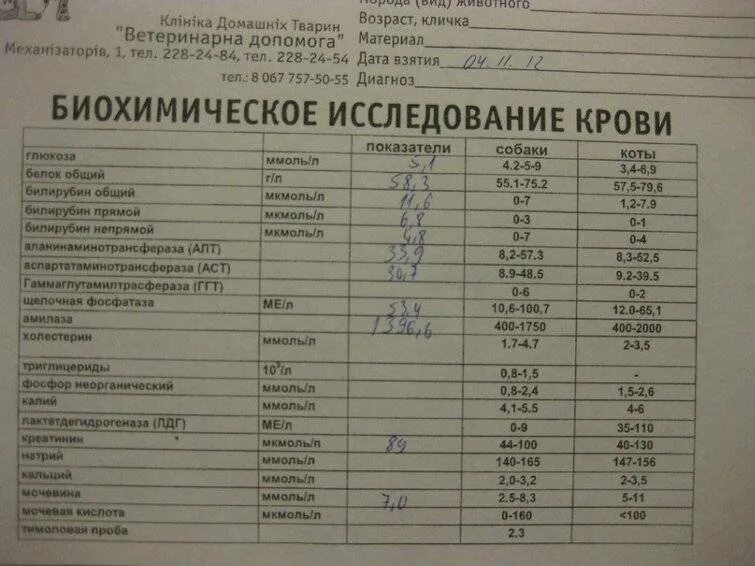 Какой анализ крови проверить печень. Биохимия анализ крови показатели АСТ что это. Биохимический анализ крови алт норма. АСТ биохимия крови норма. Печеночные показатели биохимического анализа крови нормы.