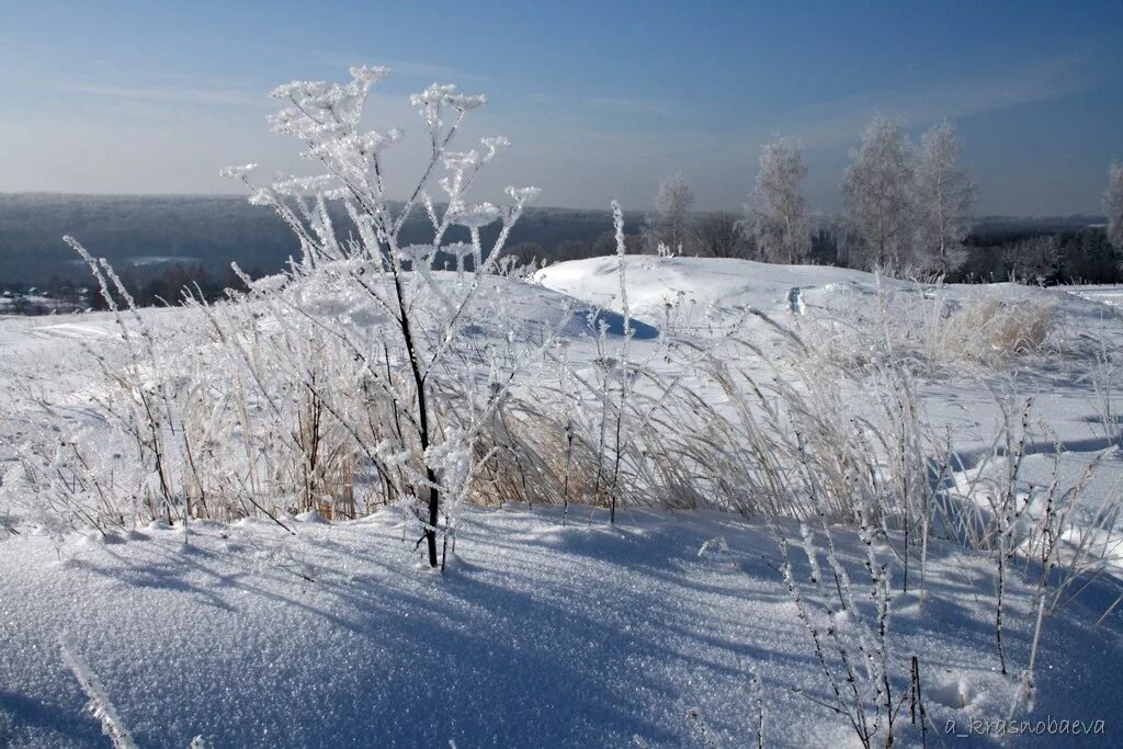 Плотный снег. Плотный снег. Зимний луг. Снежное поле. Заснеженный луг.