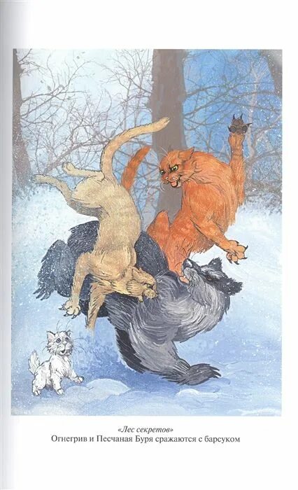 Коты воители книга лес секретов. Коты-воители. Хантер эрин "лес секретов". Хантер эрин "бушующая стихия". Хантер эрин "лес секретов" иллюстрации.