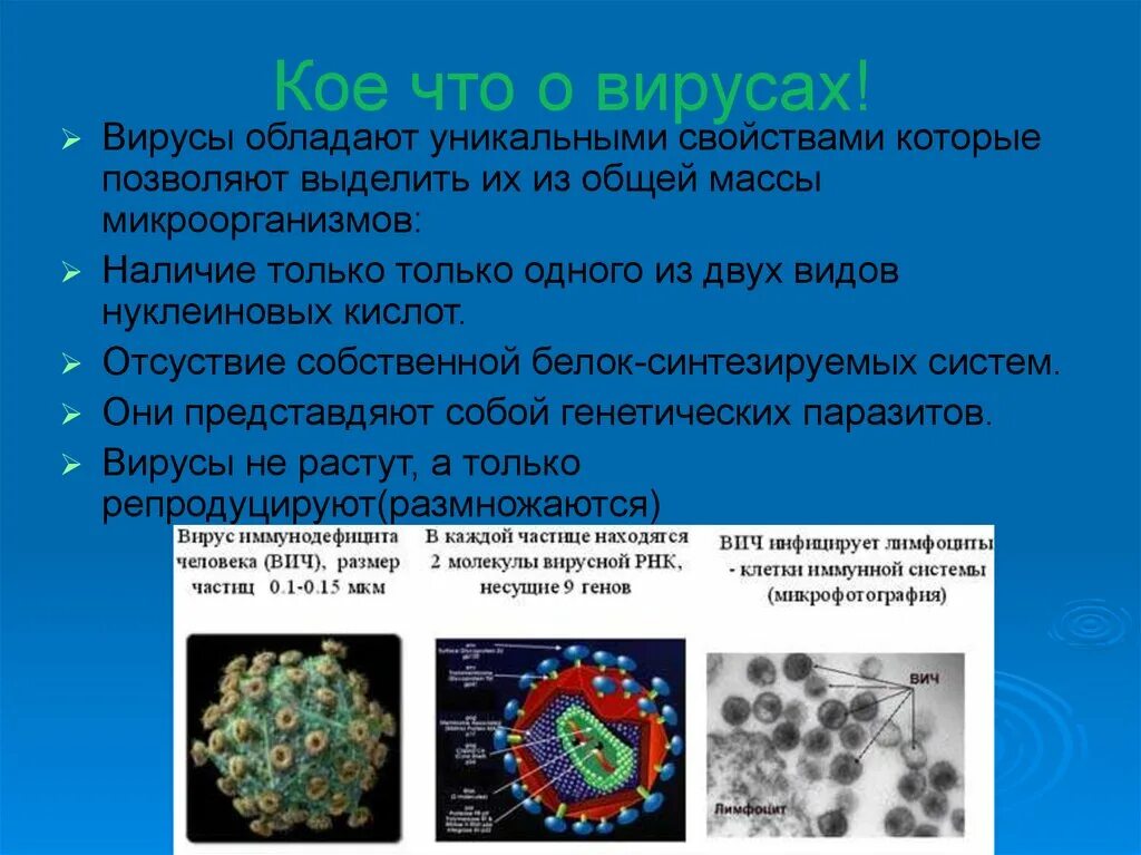 Каким основным свойством не обладают вирусы отсутствие. Вирусы по биологии. Вирусы презентация. Информация на тему вирусы. Сообщение по теме вирусы.