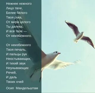Нежнее нежного анализ