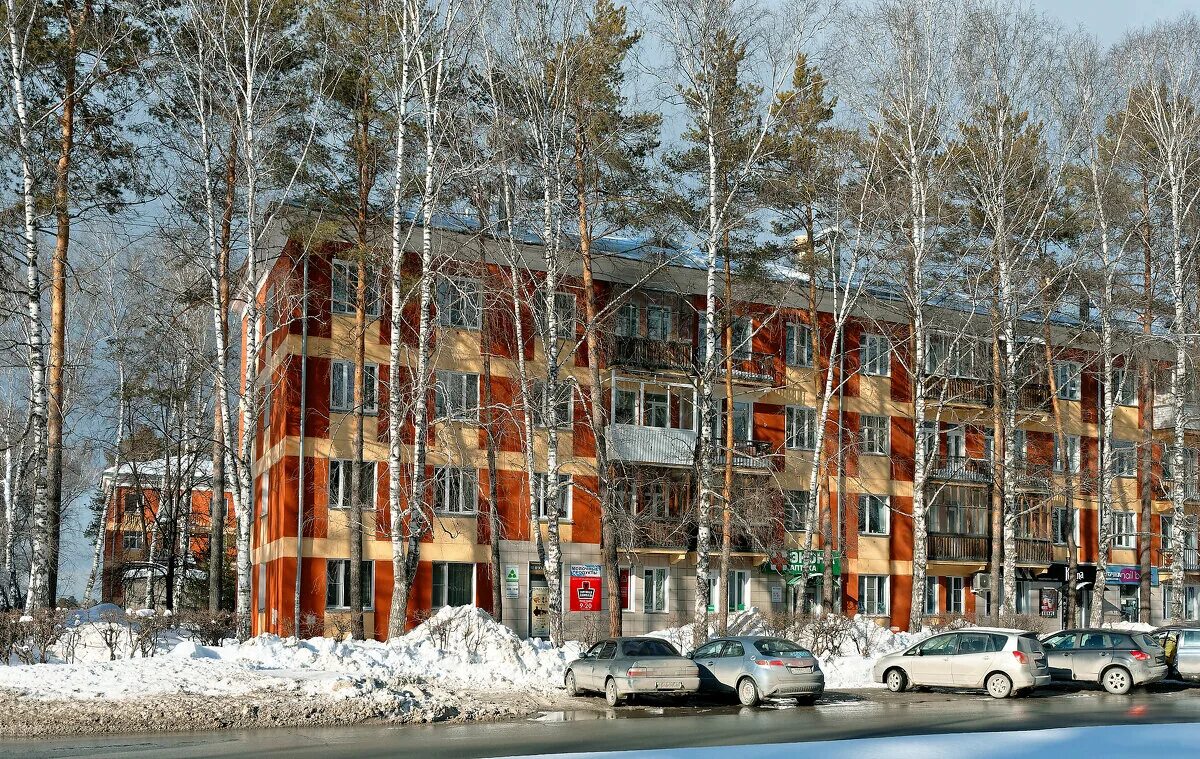 морской проспект академгородок. улицы академгородка. академгородок морской проспект зима. новосибирск научный городок. новосибирске академ академгородок в новосибирске.