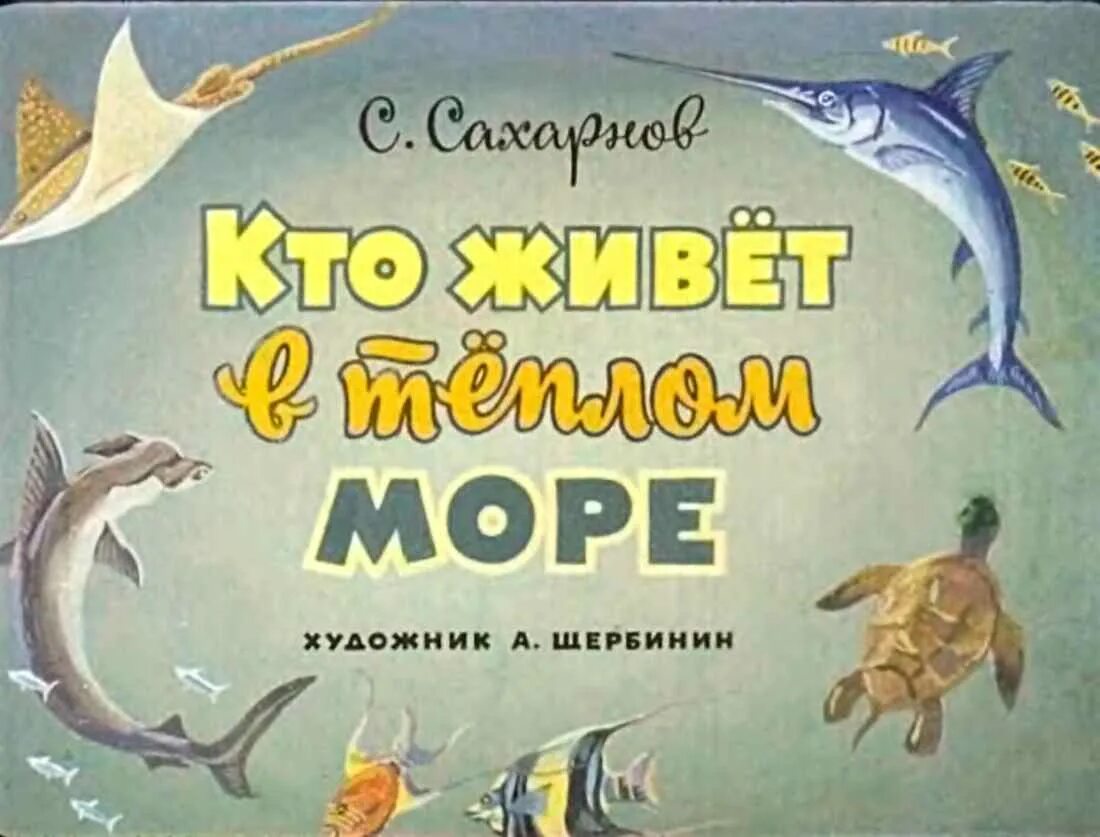 Корзина кожаная с крышкой. Летние цветы в корзинке. Сахарнов кто в море живет. Корзина биркин. Лукошко обитающее в теплых морях.