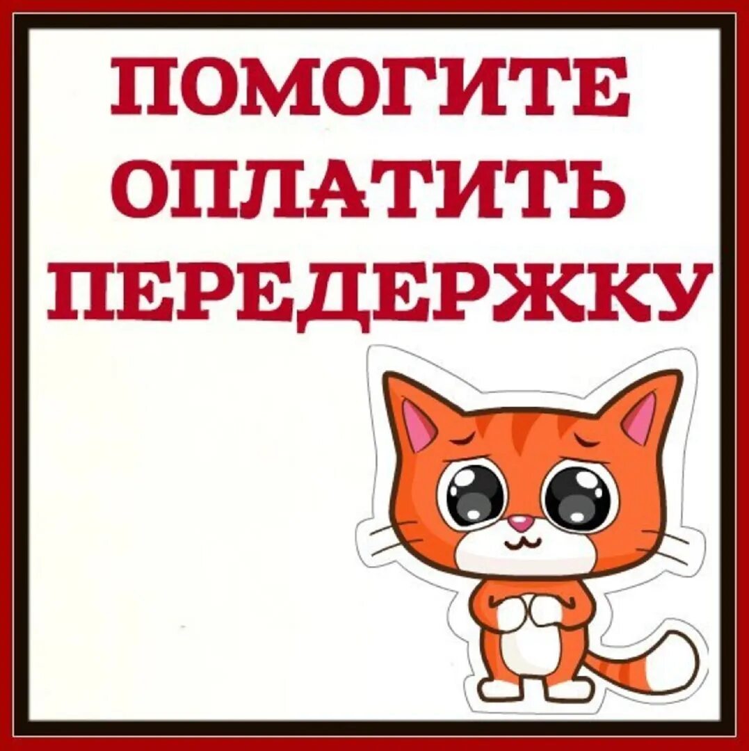 А по могите. Помогите оплатить передержку. нужна помощь в оплате передержки. помогите в оплате передержки. помощь в оплате передержки.