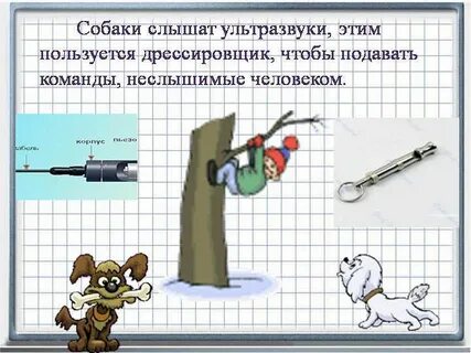 Какую частоту боятся собаки