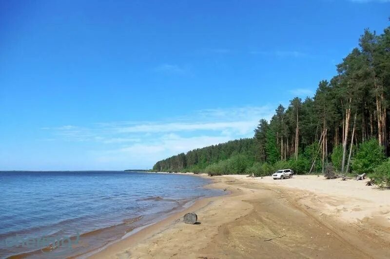 Рыбинск где купаться. Рыбинск где купаться. Пляж лазурный белгород. Рыбинск где купаться. Рыбинск где купаться.