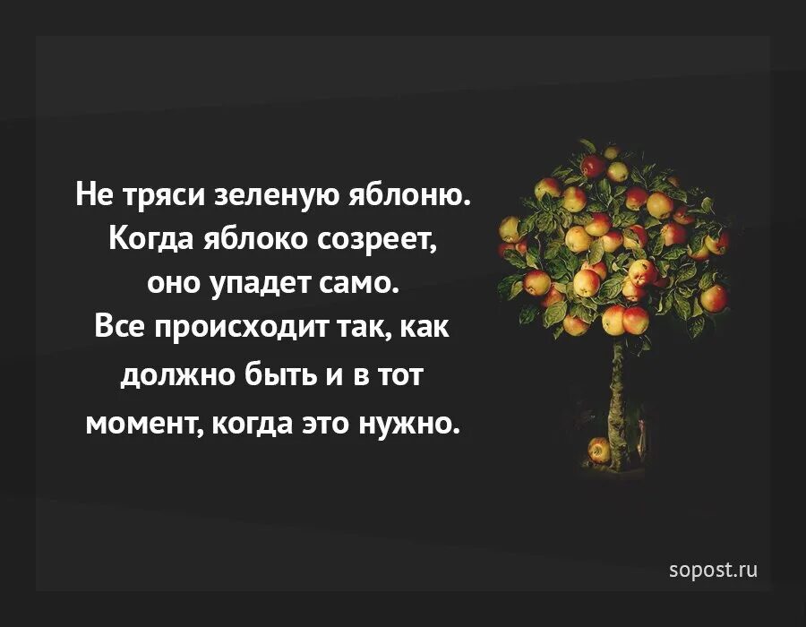 В том мире где нас растили