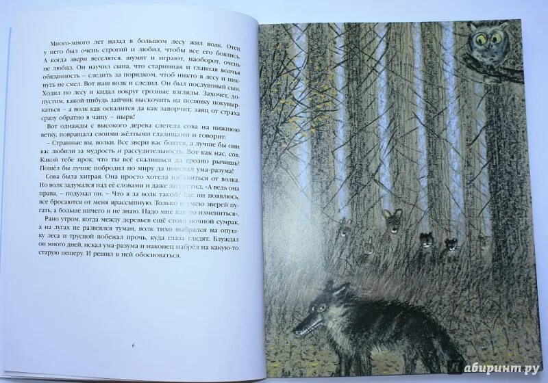 Читать тринадцатый 4 а никл. Петер никл «правдивая история о добром волке». книга добрый волк. книга волк сказка. страшный добрый волк книга.
