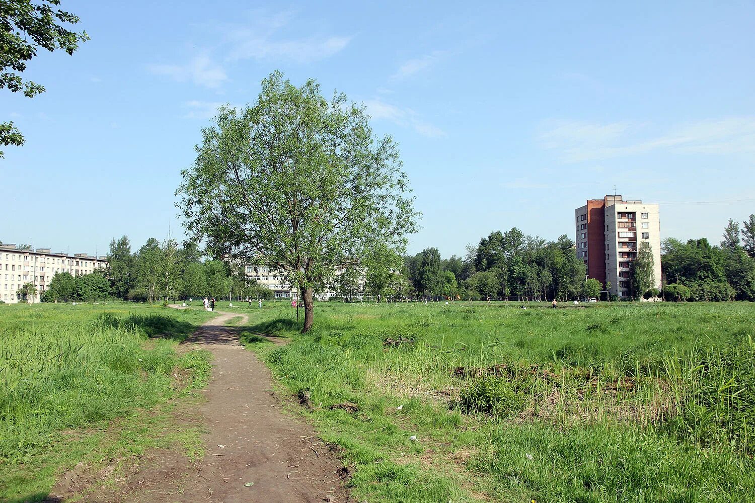 деревня купчино. посёлок купчино. деревня купчино 1943. деревня купчино. купчино (исторический район).