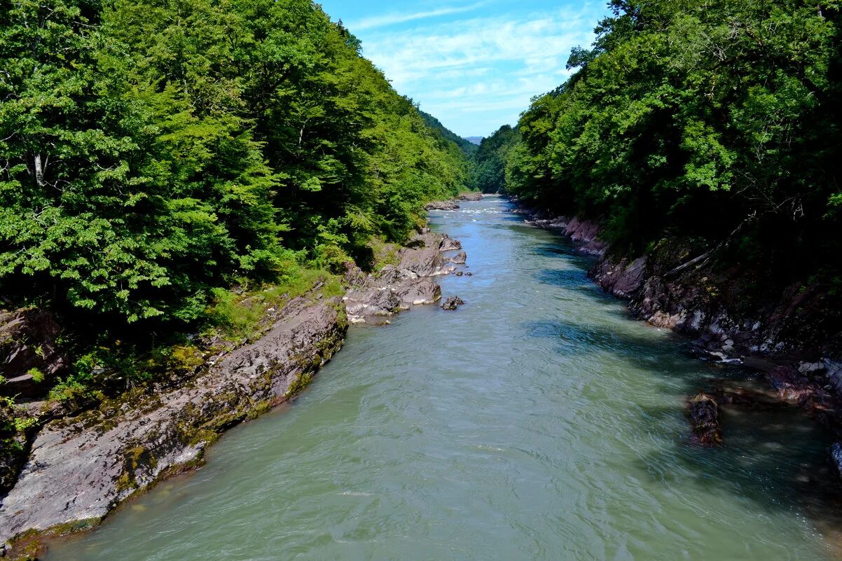 белая (приток кубани). река белая адыгея. река кубань адыгея. река белая адыгея впадает. река белая адыгея впадает.