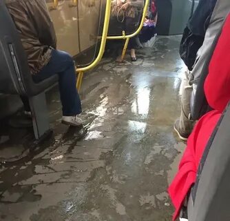 Протек ярославль