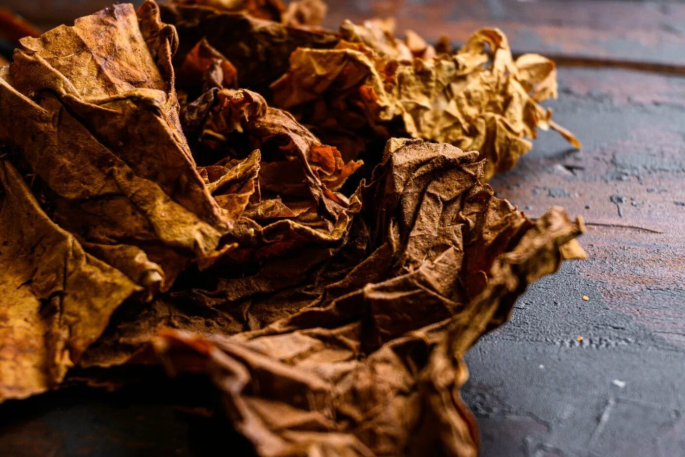 Табак сушеный Берли. Табачный лист. Табак листья. Сухие листья табака.