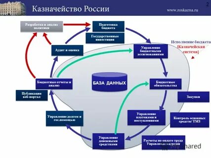 Информационные системы казначейства