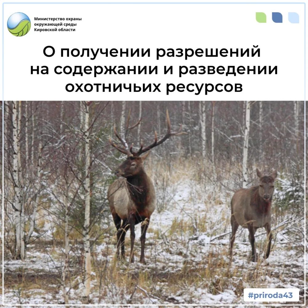 Мониторинг охотничьих ресурсов и среды их обитания. Разрешение на содержание и разведение охотничьих ресурсов. разрешение на полувольное содержание охотничьих ресурсов. полувольные условия содержания животных.