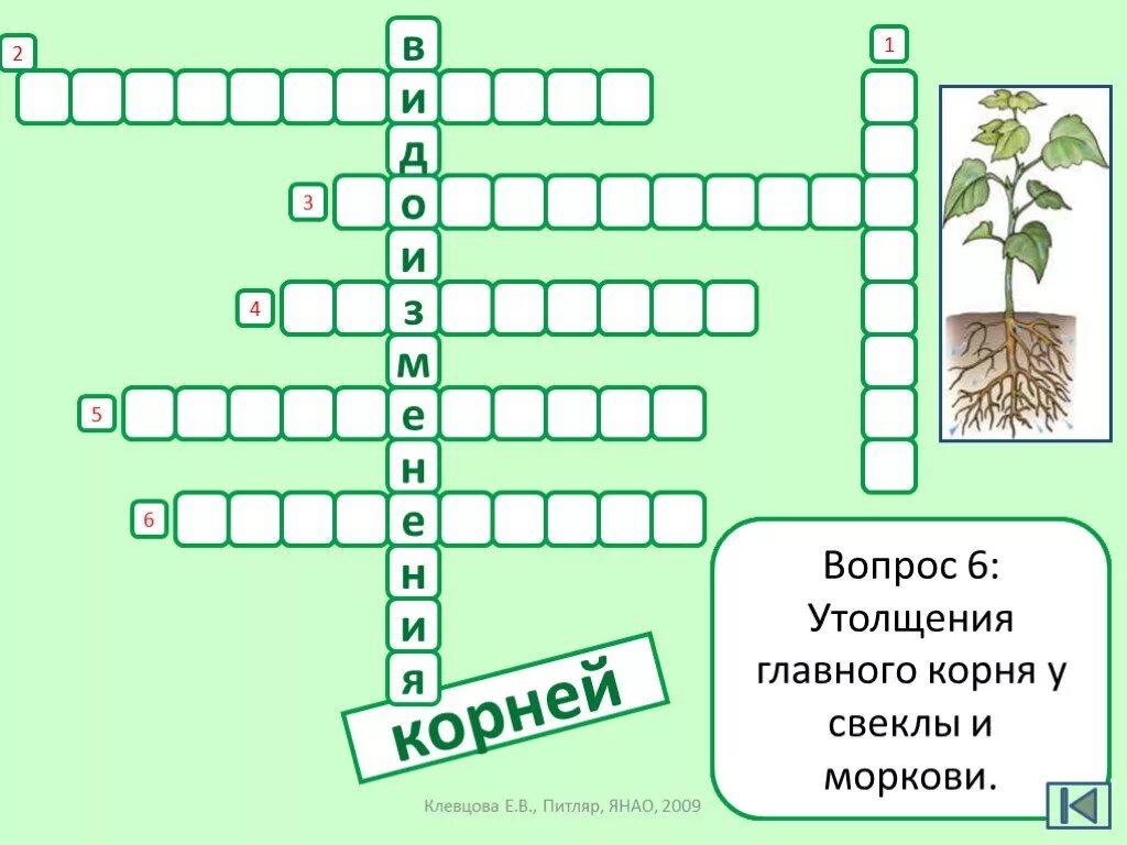 Кроссворд по теме корень 6 класс биология. Кроссворд по биологии 6 класс растения с ответами. Кроссворд на тему органы растений. Кроссворд по биологии 6 класс растения.