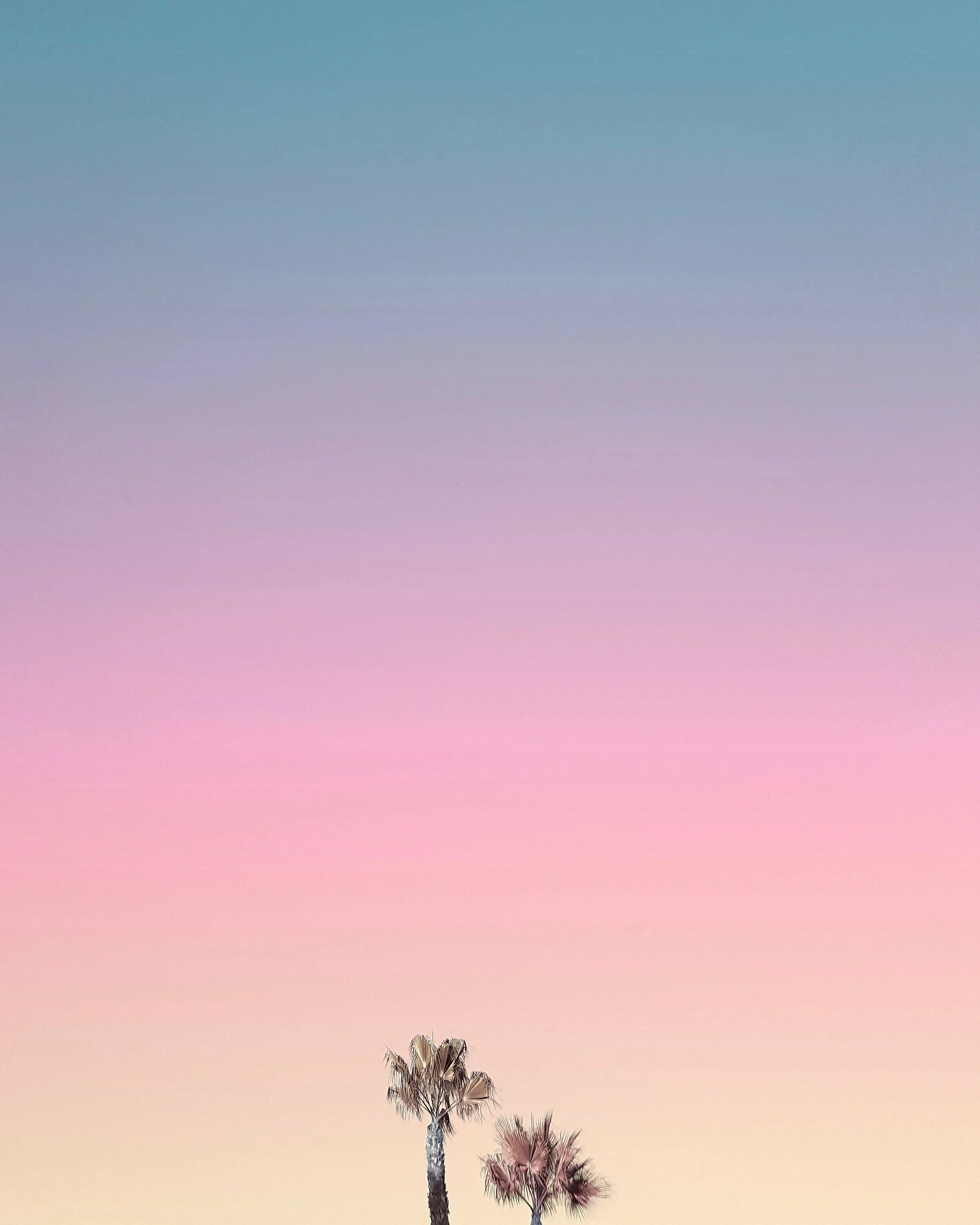 Фон для инстаграмма. Фон для инсты. Цветы на деревянном фоне. Красивый фон для сторис. Красивые фоны для инстаграмма.